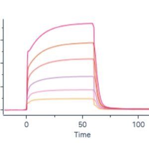 Sino Biological recombinant human PD-L1 His-tag protein 10084-H08H