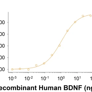 R&D Systems Recombinant Human BDNF Protein 11166-BD
