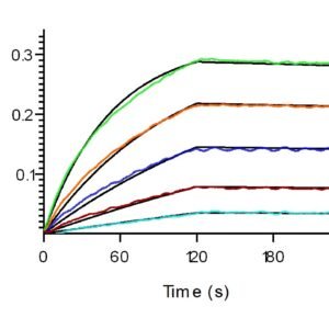 Sino Biological recombinant human B7-H3 CD276 protein 11188-H08H