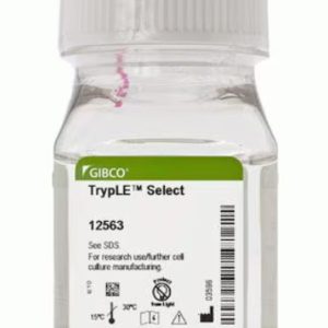 Gibco™ TrypLE™ Select Enzyme (1X), No Phenol Red