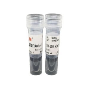 Epizyme WJ103 Tri-Color Prestained Protein Marker 10 to 250 kDa