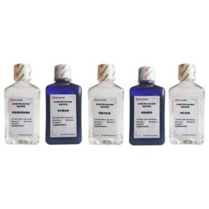 Servicebio H&E HD Constant Dye Kit G1076