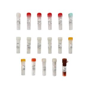 Servicebio Click-iT 647 TUNEL cell apoptosis detection kit