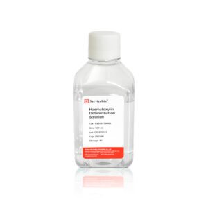Servicebio Hematoxylin Differentiation Solution G1039 500 mL