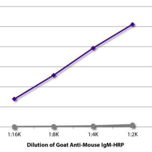 SouthernBiotech 1021-05 Goat Anti-Mouse IgM-HRP Antibody
