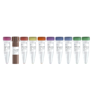 Vazyme VAHTS Universal V10 RNA-seq Library Prep Kit NR606