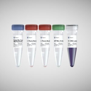 Vazyme ClonExpress II One Step Cloning Kit C112