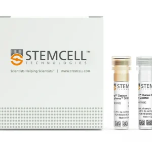 STEMCELL Technologies 17953 EasySep Human CD8 T Cell Isolation Kit