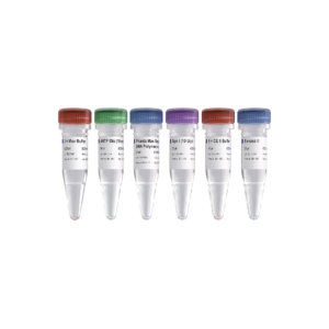 Vazyme VAHTS Universal Plus DNA Library Prep Kit ND627