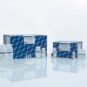 QIAGEN QIAamp DNA Blood Mini Kit 51104