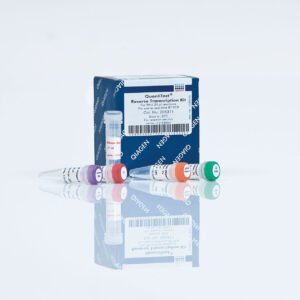 QIAGEN QuantiTect Reverse Transcription Kit 205311