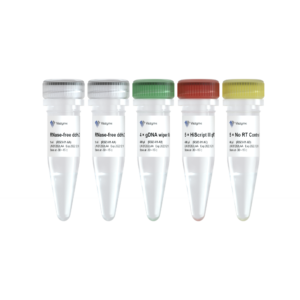 Vazyme HiScript III RT SuperMix for qPCR R323