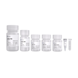 Vazyme 8 min FastPure Plasmid Mini Kit DC221