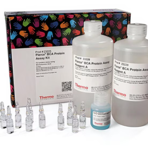 Thermo Scientific™ Pierce™ BCA Protein Assay Kit