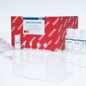 QIAGEN RNeasy Mini Kit 74104 for total RNA purification