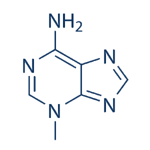 Selleck Chemicals 3-Methyladenine 3-MA autophagy inhibitor S2767