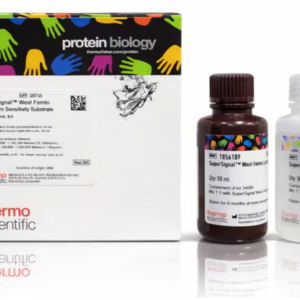 Thermo Scientific™ SuperSignal™ West Femto Maximum Sensitivity Substrate