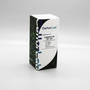 Epizyme BY004 Protein-Free DMSO-Free Cell Freezing Medium
