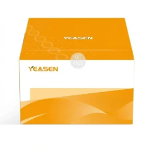 Yeasen 19023ES Hieff Endo-free Plasmid Midi Kit