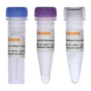 Yeasen 11151ES RT-gDNA Digestion SuperMix for qPCR