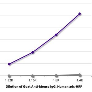 SouthernBiotech 1030-05 Goat Anti-Mouse IgG Human Adsorbed HRP Antibody