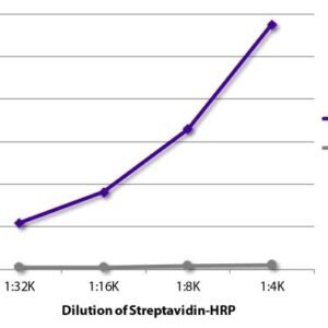 SouthernBiotech 7105-05 Streptavidin-HRP Biotin Detection Reagent