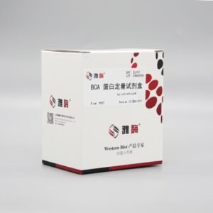 Epizyme ZJ101 BCA Protein Assay Kit