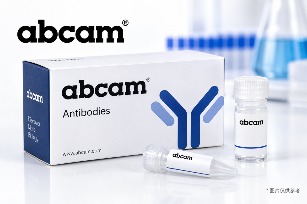 Anti-LC3B antibody [EPR18709] – Autophagosome Marker - biolterna.com