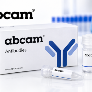 Abcam antibodies