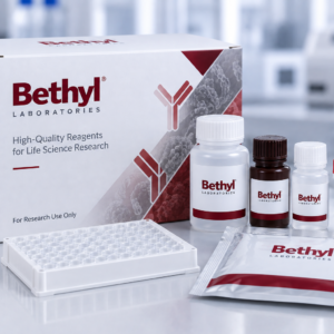Human IgA ELISA Kit