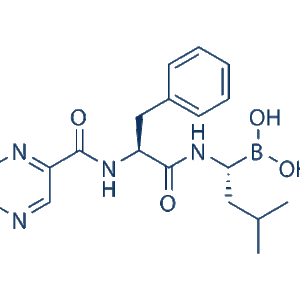 Selleck Chemicals Bortezomib 20S proteasome inhibitor S1013