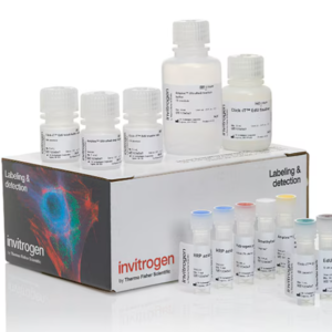 Invitrogen™ Click-iT™ EdU Proliferation Assay for Microplates