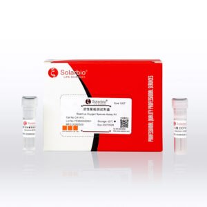 Solarbio CA1410 Reactive Oxygen Species Assay Kit with DCFH-DA