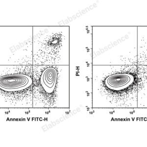 Elabscience E-CK-A211 Annexin V-FITC PI Apoptosis Kit