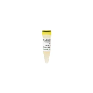 Zymo Research D6305 ZymoBIOMICS Microbial Community DNA Standard
