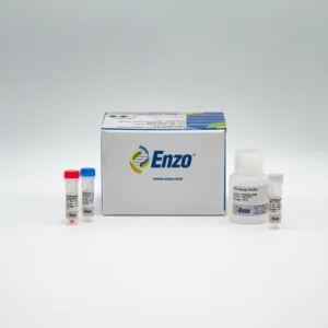 Enzo ENZ-51035 PROTEOSTAT Aggresome Detection Kit