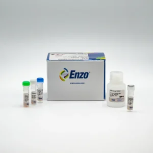 CYTO-ID® Autophagy Detection Kit 2.0