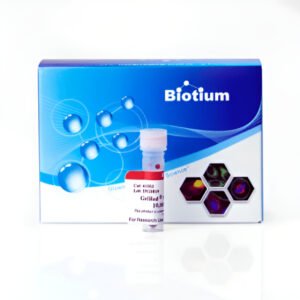 Biotium GelGreen® Nucleic Acid Gel Stain