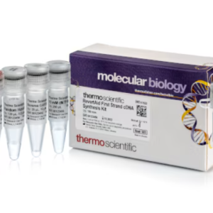 Thermo Scientific™ RevertAid™ First Strand cDNA Synthesis Kit