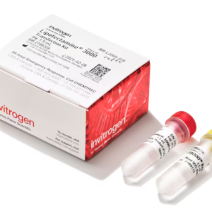 Invitrogen™ Lipofectamine™ 3000 Transfection Reagent