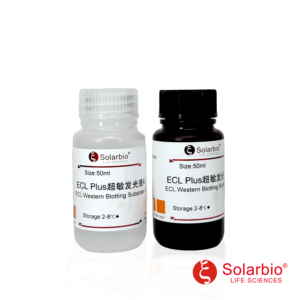Solarbio PE0010 ECL Plus Western Blotting Chemiluminescent Substrate