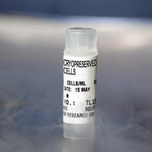 Lonza pooled-donor HUVEC primary endothelial cells CC-2519