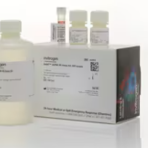 Invitrogen™ Qubit™ dsDNA HS Assay Kit