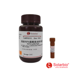 Solarbio R0010 High-Efficiency RIPA Tissue and Cell Lysis Buffer