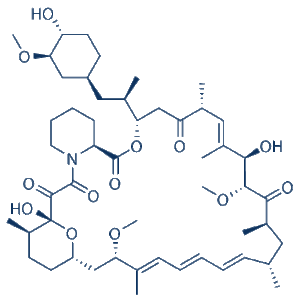 Selleck Chemicals Rapamycin Sirolimus mTOR inhibitor S1039