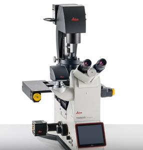 Leica DMi8 inverted research microscope for live-cell imaging