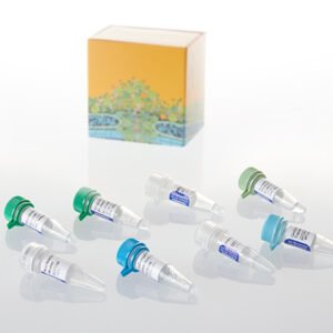 Promega GoScript Reverse Transcription System A5000