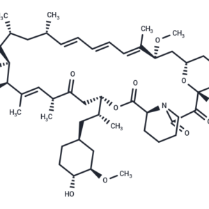 TargetMol Rapamycin T1537 mTOR inhibitor