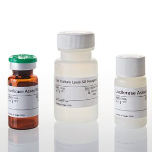 Promega Luciferase Assay System E1500