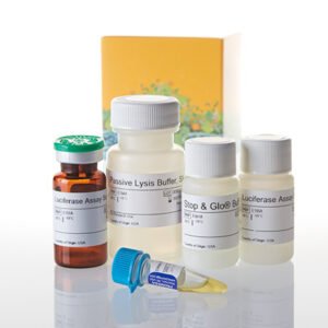 Promega Dual-Luciferase Reporter Assay System E1910